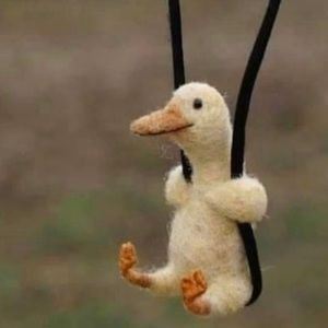 Meet your Posher, Jacqueline